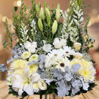 Condolencia Pie de caja- DSF