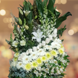 ARR- Gran Pie de caja  Funeral Guadalajara - DSF